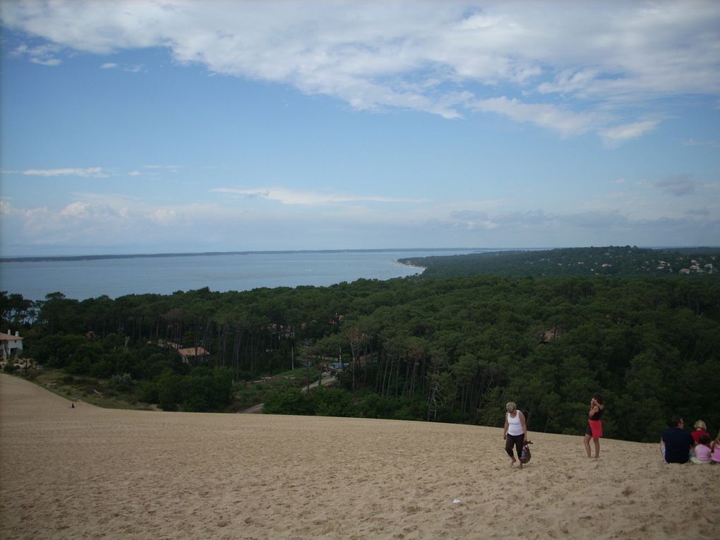 Des Landes, bien plates, à la 
dune du Pyla