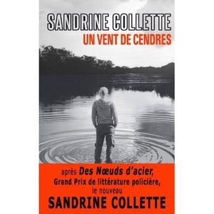 Chronique de Un vent de cendres de Sandrine Collette