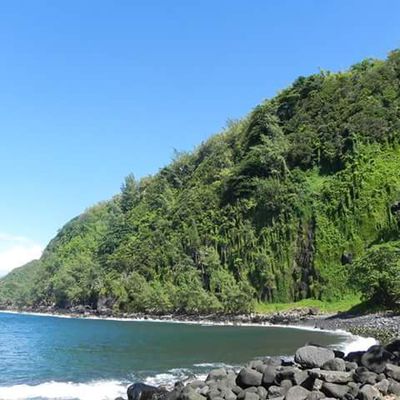 Petit bilan de notre vie sur l'île de la Réunion.