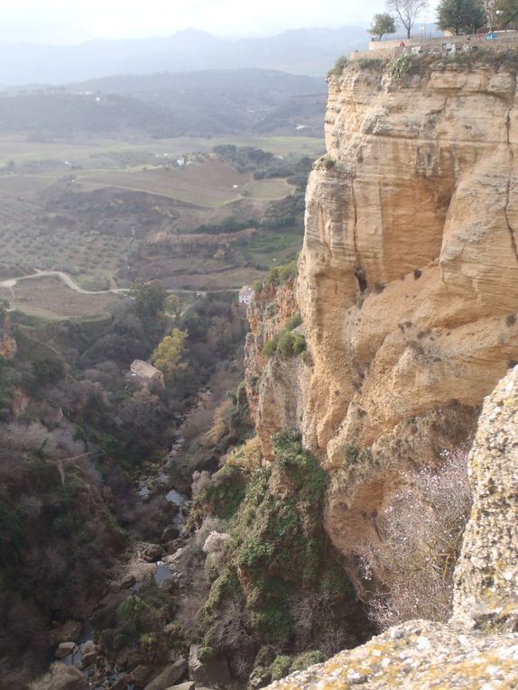 Ronda, capital de la Torromaquía española. ville perchée entre deux rochers séparés par une petite rivière à l'eau bleue turquoise... ça fait quand même réver, merci Yurah de m'en avoir parlé. pour cette étape pas de stop, la route qui y mène se transforme aussi en chemin,piste de temps en temps, et je n'ai pas vu une voiture y aller de tout le voyage en train. L'auberge où je dors est vide, je suis seul avec le couple qui l'entretient,ça va ils sont vraiment cools, et moniteurs de sports natures donc on s'entend bien. La ville est magnifique, mais c'est du romantique à l'état pur, c'est la première fois que je me fais chier! Après avoir fait a peu près 9h de marche à travers toutes ses petites ruelles, visité la plupart des batiments, je me dis qu'il est quand même temps de changer un peu d'air. Merci à Thiago, le type de l'auberge qui m'a parlé de ma prochaine étape, qui est selon lui le plus beau coin des alentours : Setenil...