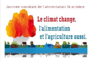 16 Octobre | Journée mondiale de l'alimentation !