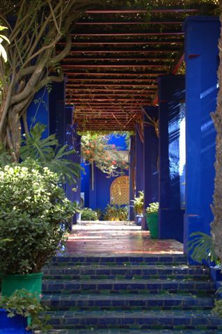 Album - Le-jardin-Majorelle