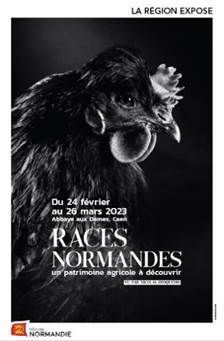 Caen - vernissage exposition - Races normandes, un patrimoine agricole à découvrir !