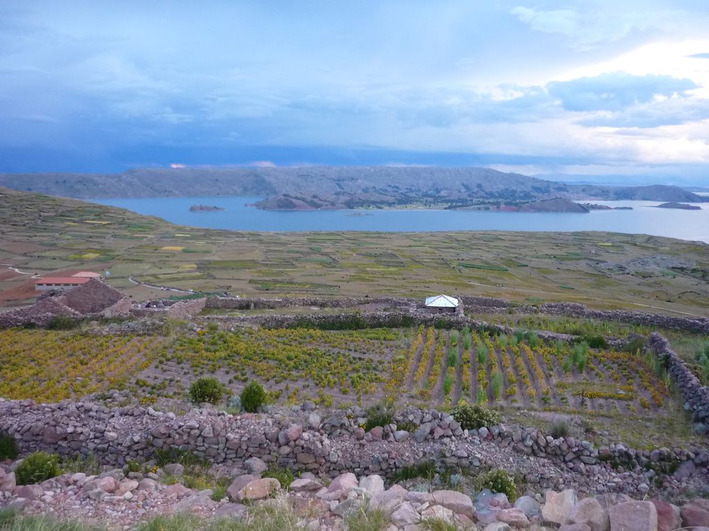 Album - 105- Pérou-puno et le lac titicaca