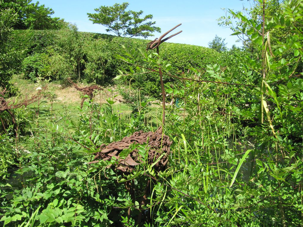 Album - Sortie-des-maternelles-au-Jardin-des-Olfacties