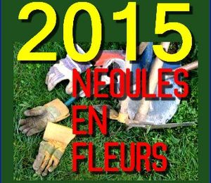 2015 : Néoules en Fleurs, c'est reparti !...