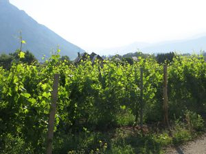 &quot;Rando Santé&quot; La Forêt des Marches