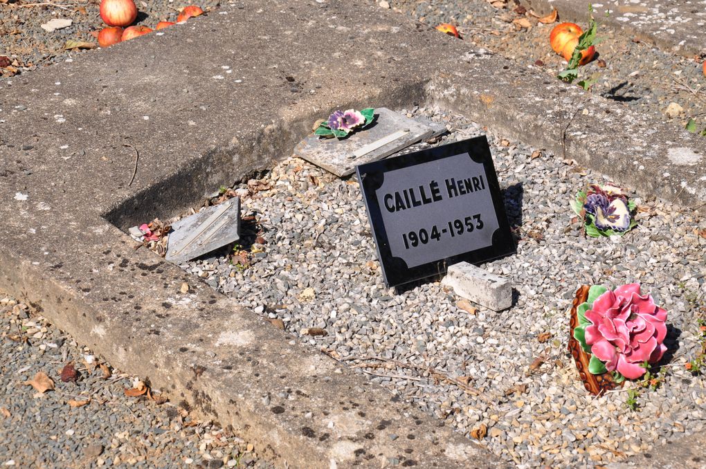 Lire l'excellent livre :
"Les protestants en Poitou-Charentes et Vendée" chez Geste Éditions.