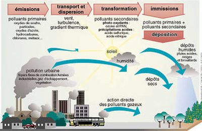 les pluies acides