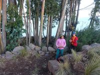 Llachon, le lac Titicaca hors des sentiers battus