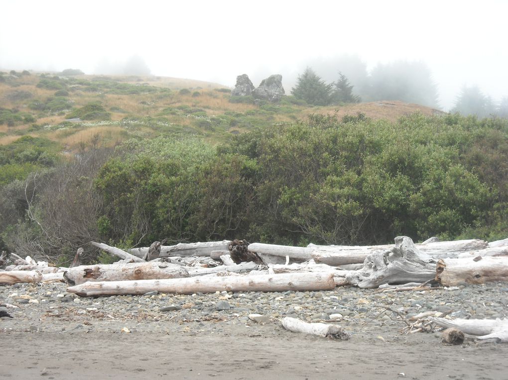 De Seattle (Etat de Washington à Crescent City (Californie), sur  une distance de 1000 kms, la côte oregonnaise offre un paysage magnifique, sauvage et grandiose où souffle l'esprit des peuples premiers, les indiens d'Amérique du Nord.