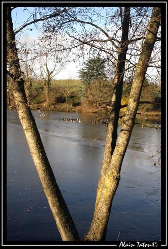 Album - Période-hivernale