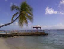 Croisière dans les Caraïbes...