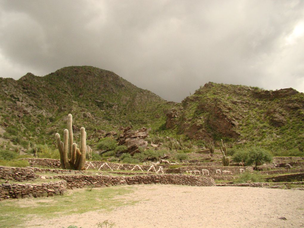 Album - Argentine-Mendoza à Salta