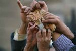 Otra crisis alimentaria y al "Dios mercado" no hay quién le tosa