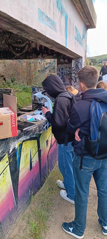 MSTE UNIVERSAL Biodiversity in high school and in the dunes environment