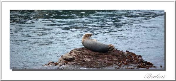 Album - BRETAGNE et ailleurs -2