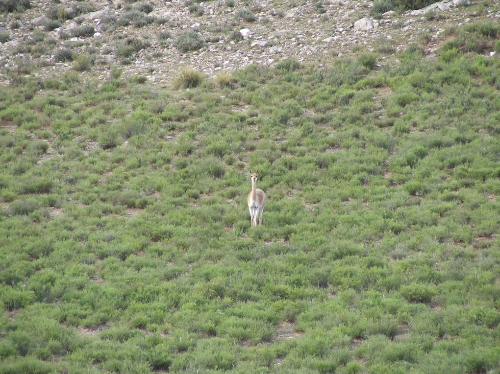 Album - REGION-JUJUY