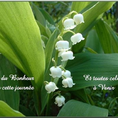 bonne fete du 1er mai pour tous §§§§§§§§§§§§§§§§§§§§§§