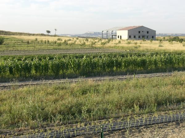 <p>Un tour aux champs à la fraîche, un soir d'été... Pour les membres du bureau c'était l'occasion de s'informer des techniques si particulières de l'agriculture biologique.. et de ses aléas.</p>
<p>Voici quelques clichés avant les visites d