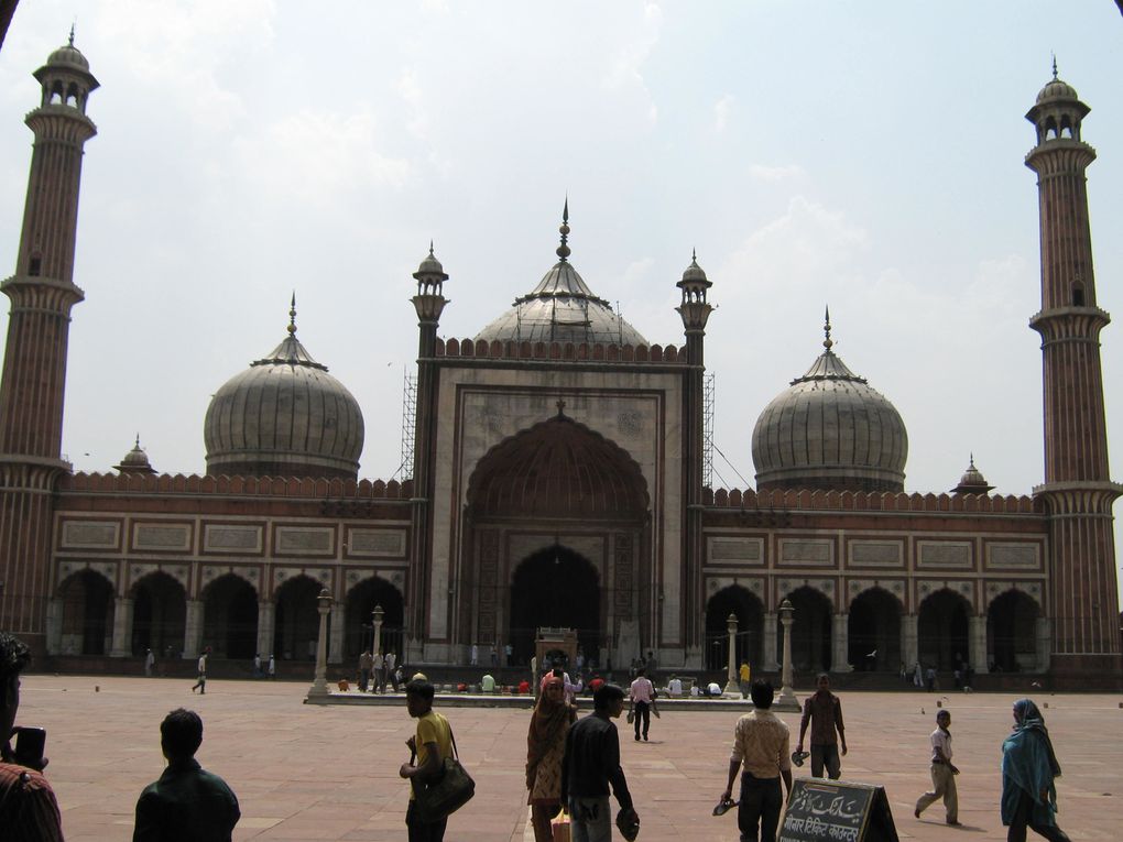 Album - VARANASI