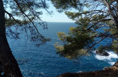 Stage de Qi Gong du Fil d or et Violon Energetique pres de Toulon du 03 au 07 Septembre 2020