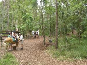 Hier die zweite Ladung an Bildern vom Australia Zoo sowie brandneu von der Lone Pine Koala Sanctuary - enjoy!!!!