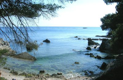 Une petite île au large de Cannes, "l'île Ste Marguerite"
