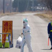 Épizootie. Grippe aviaire : le Japon manque de place pour enterrer les volailles abattues