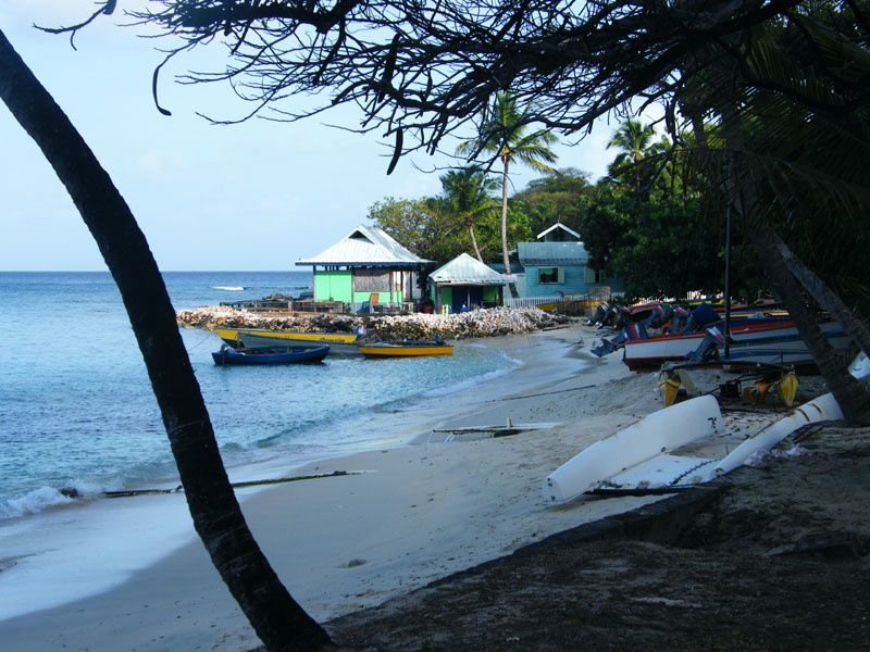 Photos et images de notre navigation dans les Grenadines.