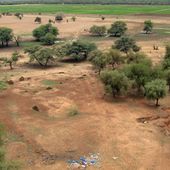 Les causes de la déforestation dans le nord du Sénégal