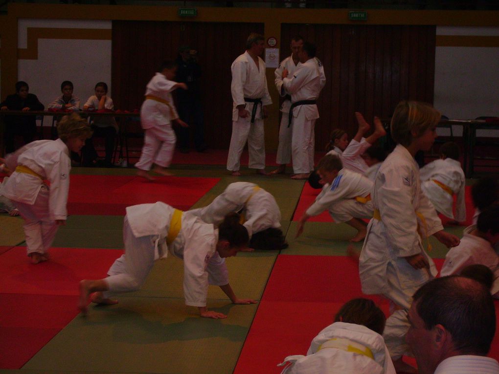 Stage d'arbitre et compétition "4 Saisons " & " Petits Tigres ". Et participation de Frédéric Demontfaucon, champion du monde en 2001 et médaille de bronze aux Jeux Olympiques de Sidney 2000.