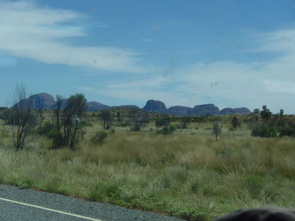 Album - Roadtrip-zum-ULURU-via-Great-Ocean-Road