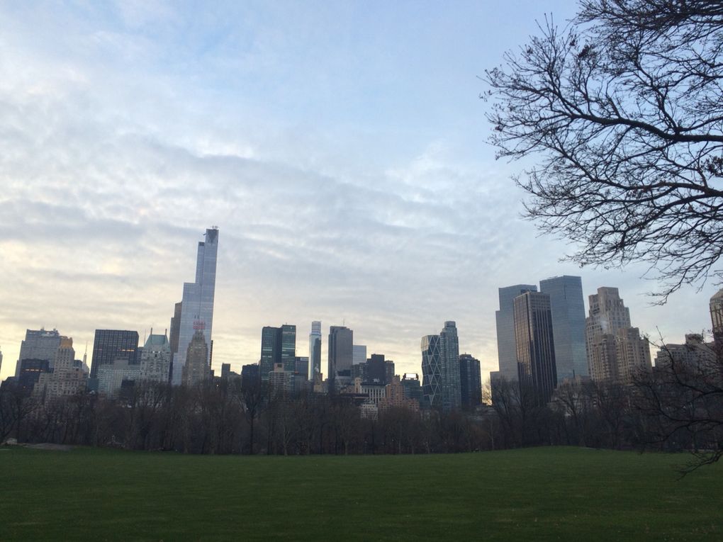 Une semaine de ciels new-yorkais pour commencer 2016