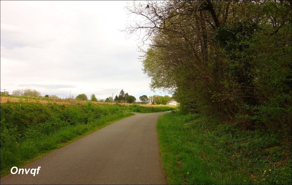 Randonnée à Orist AA