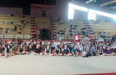 CHAMPIONNAT ACADEMIE GYMNASTIQUE DEVELOPPEMENT 2023/2024