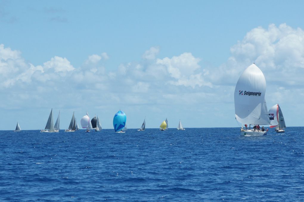 Album - Trophee-Open-Voile-de-St-Francois-2011-2