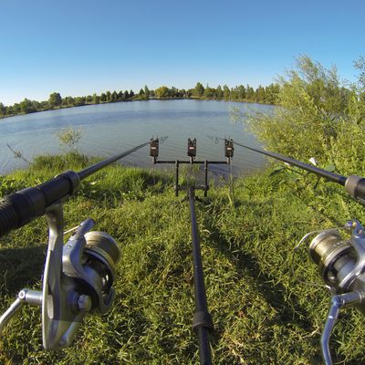 Pêche de la carpe et du silure en étang