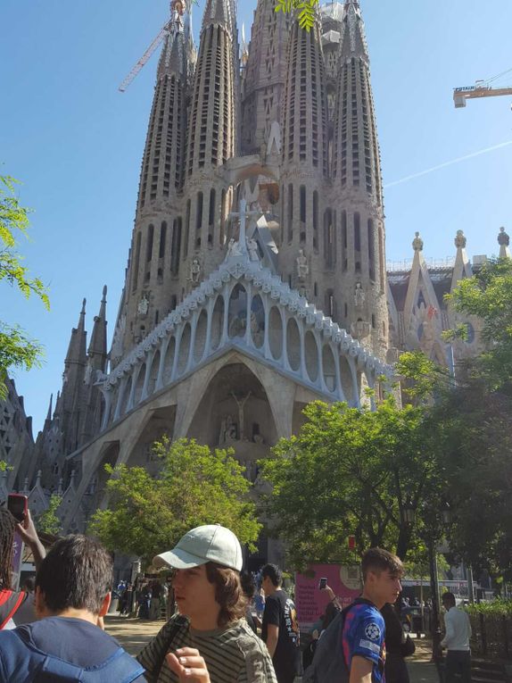 SP23 Pedagogical visit to Sagrada Família  