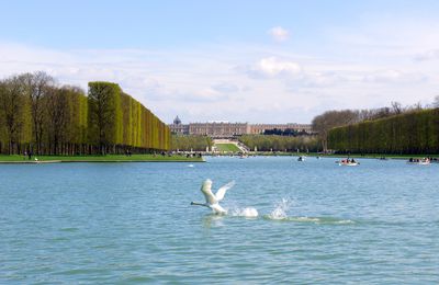 Si Versailles m'était conté