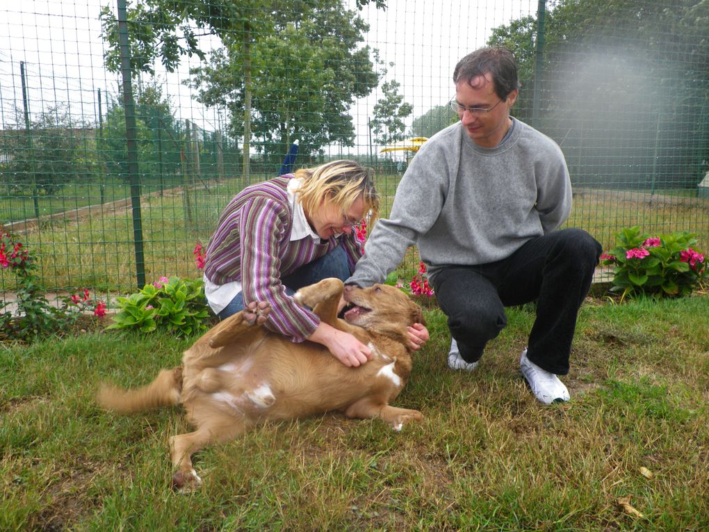 Album - CHIENS-ADOPTES-juillet-août-septembre-10.