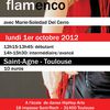 Stages de flamenco sur Toulouse avec Marie-Sol!