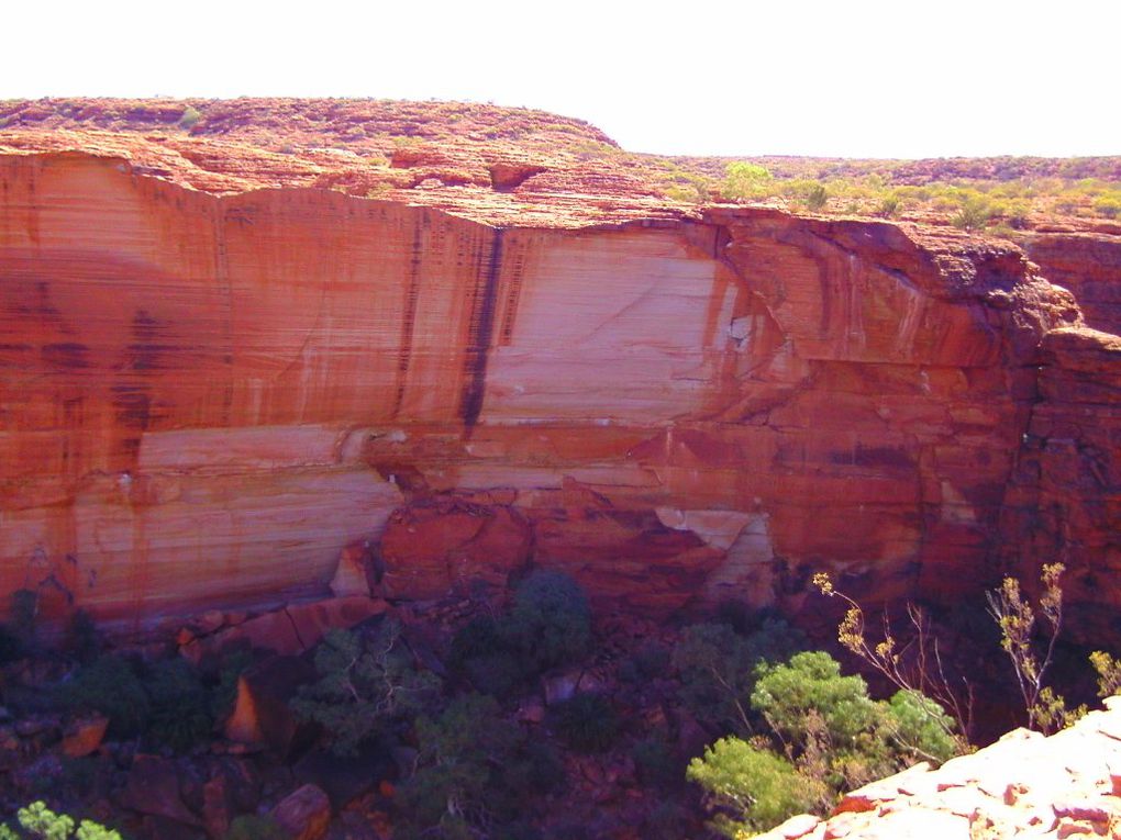 Album - The-Ultimate-Oz-Experience-2--Outback--The-Olgas---Ayers-Rock---Kings Canyon