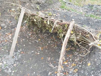 Cabane pour les paôns