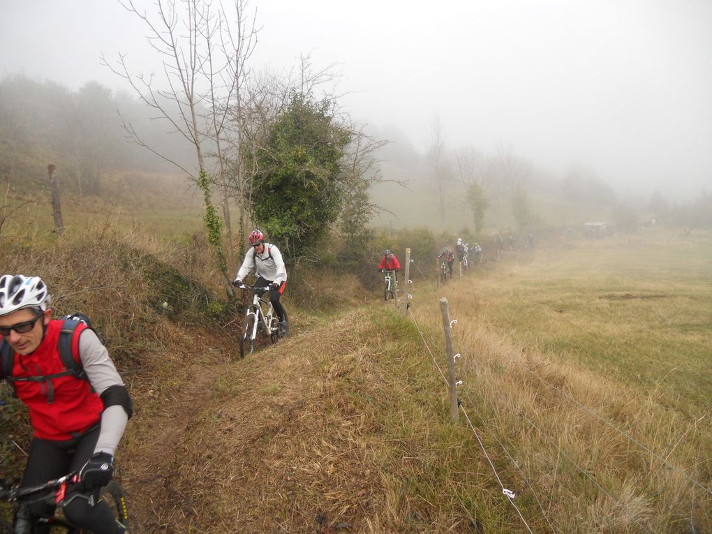 Photos Laurent, le Cht'i...