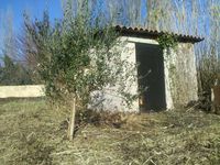 La Condamine : ses cerisiers, sa cabane, sa nouvelle parcelle après passage du broyeur.