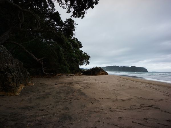 Nouvelle-Zélande : les plages à voir 