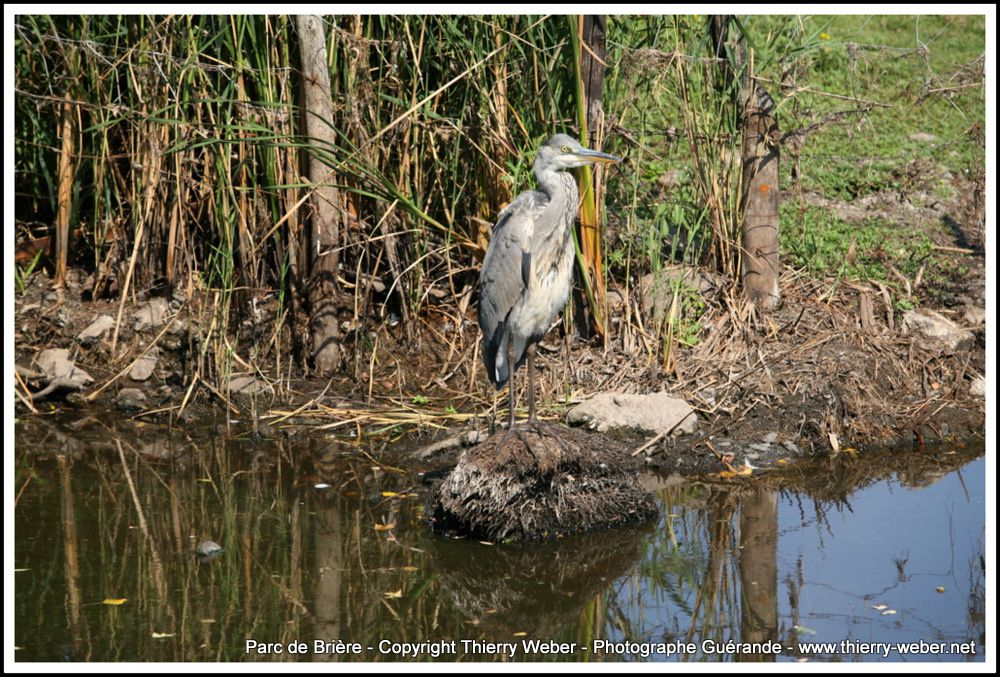 Album - Images de Briere