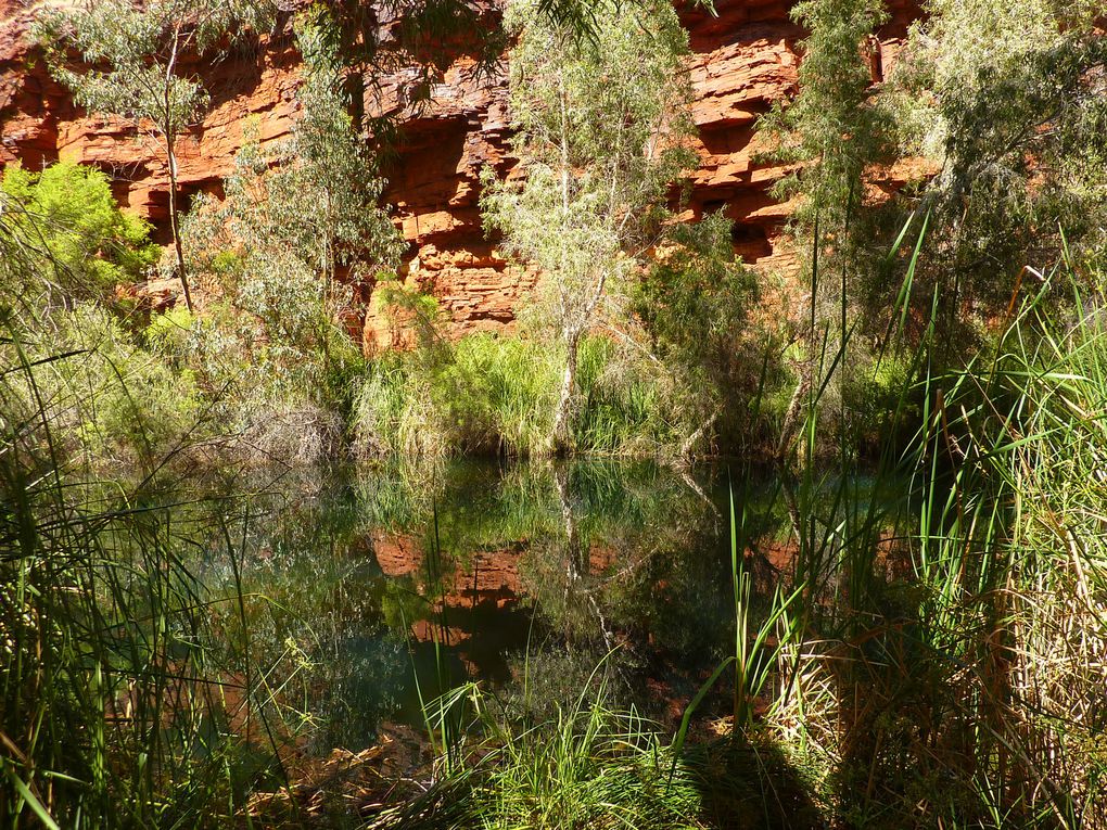 Album - 10Q ningaloo--karijini---Broome