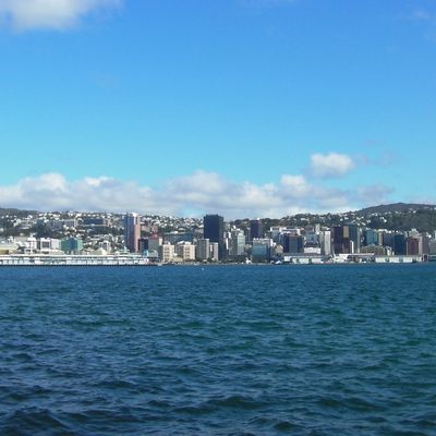 Well, well, Wellington